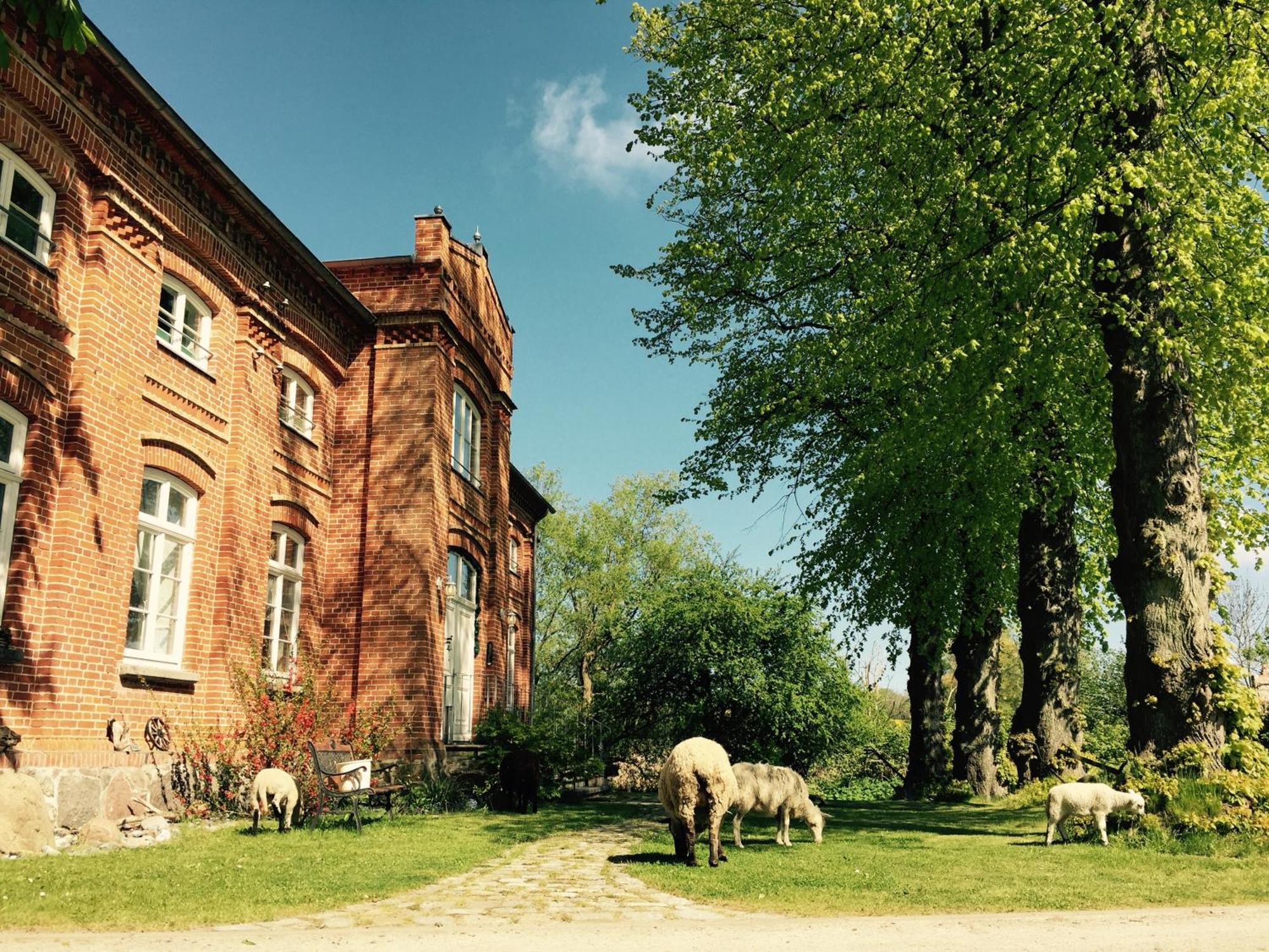 Gutshof Dubnitz - Ferienwohnung 1 "Carlo" Sassnitz Zewnętrze zdjęcie